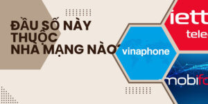 0363 là mạng gì? Giải mã ý nghĩa đầu số 0363 Viettel và phong thủy thu hút tài lộc